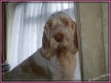 13-02-12 AvaCuteWindow